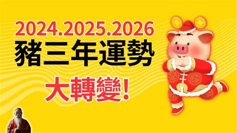 生肖豬幸運色|【2024豬年】生肖豬2024好運滾滾來！屬豬運勢、幸。